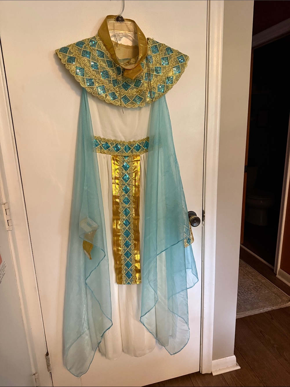 Women’s Cleopatra Aqua and Gold Egyptian Princess Costume